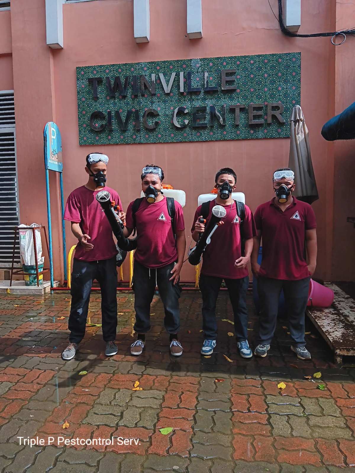 Professional pest control service